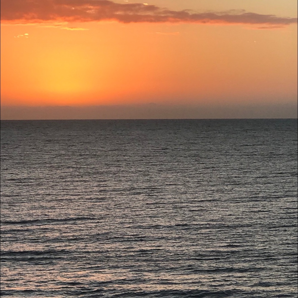 Meet your Posher, Mackenzie